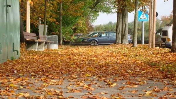 النوات ليست ظاهرة أرصاد علمية.. خبيرة تكشف حقيقتها ومواعيدها