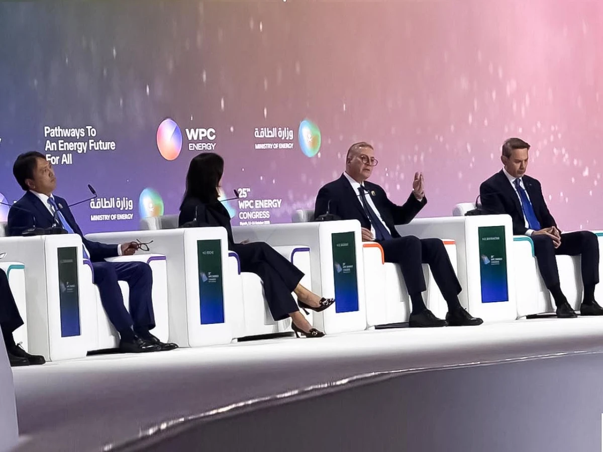 تأمين إمدادات الطاقة في مقدمة أولويات مصر.. وبدوي يستعرض جهود جذب الاستثمارات