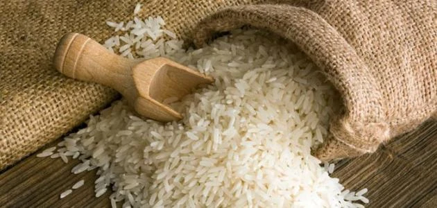 رئيس بحوث الأرز: الأسعار في مصر منخفضة جدًا مقارنة بالعالم