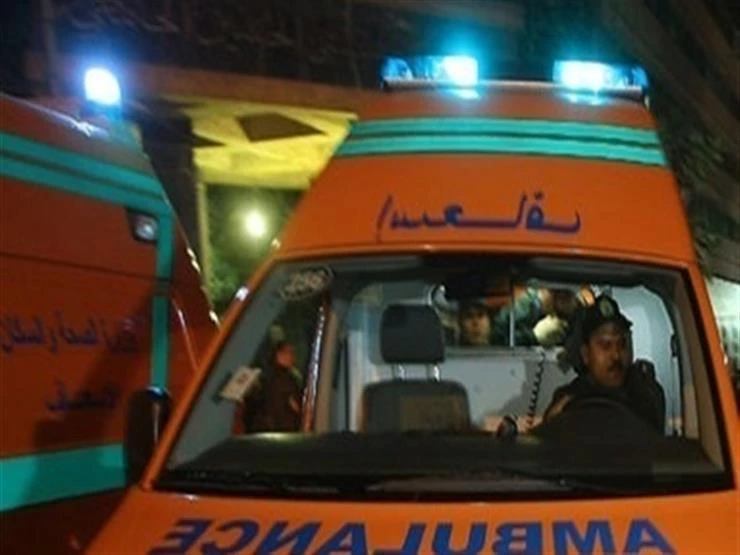 القبض على سائق دهس طفلًا أمام مدرسة بحدائق القبة وتسبب في وفاته