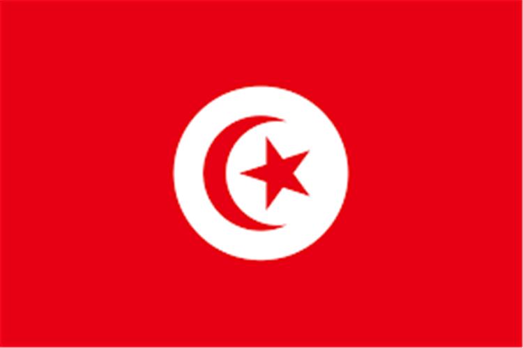 نمو الاستثمار الأجنبي المباشر بتونس 18% في الربع/1