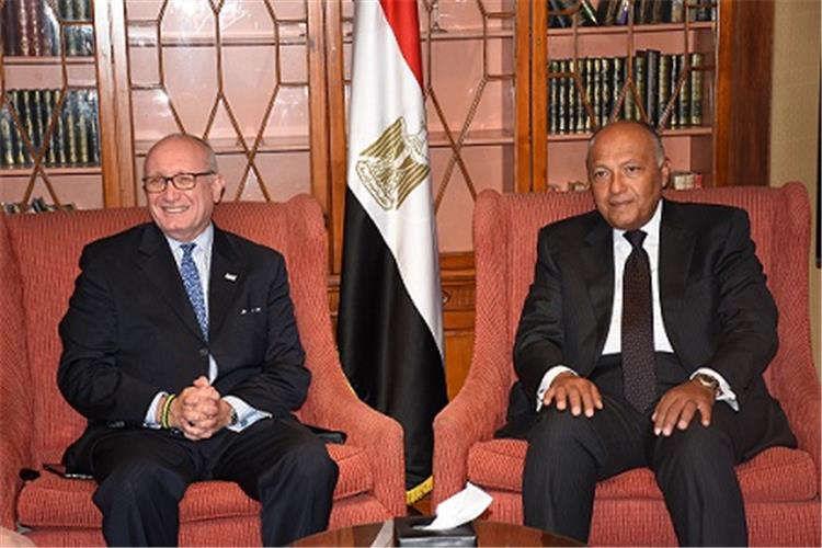 شكرى يستقبل وفد مجلس رجال الأعمال الأمريكى للأمن القومى