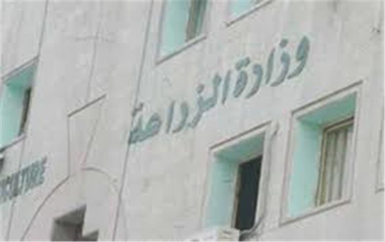 نائب: استراتيجية الدواجن بوزارة الزراعة “كلام نظرى واللى قدمها راجل فاشل”