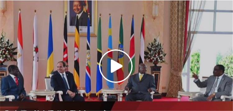 بالفيديو.. نشاط رئاسي مكثف للسيسي خلال الأسبوع الماضي