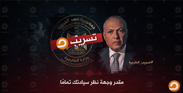 تسريب مزعوم بين "السيسي وشكري" حول بيان "التعاون الخليجي.. فيديو